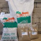 Grass Seed